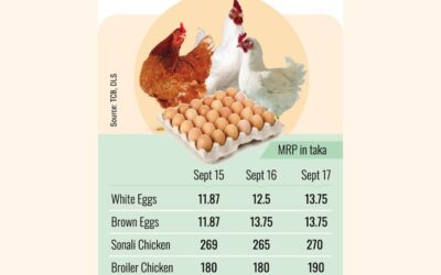 卵、鶏肉の価格は政府の設定したレートに反する