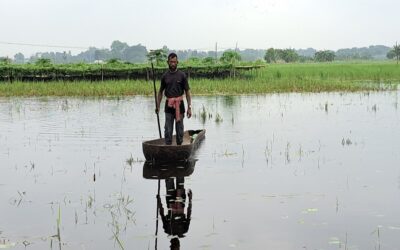 ナライルの漁業、農業部門は洪水により10億タカの損失を被る