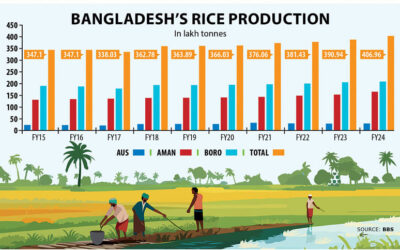 バングラデシュの米生産量が初めて400万トンを突破