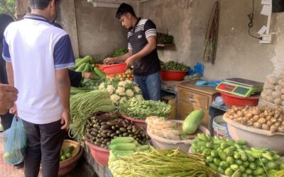 野菜価格の高騰で庶民が苦しむ