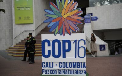 生物多様性に関するCOP16: 評価