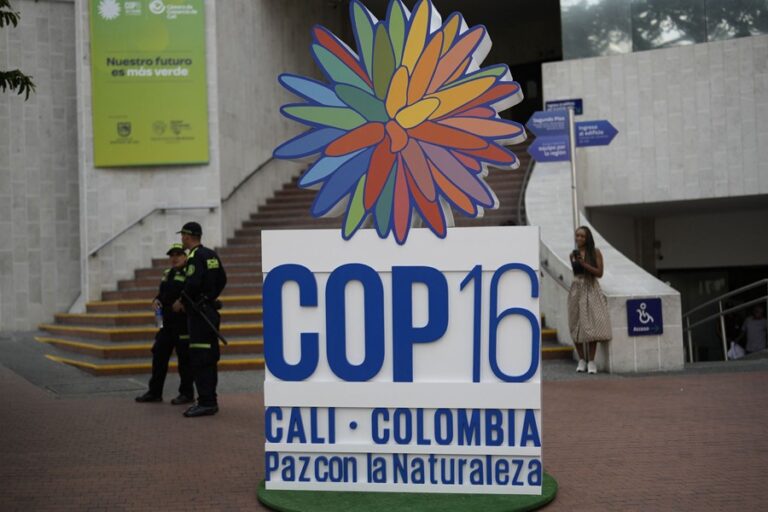 生物多様性に関するCOP16: 評価