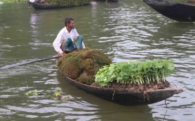 水生植物は価値がないのでしょうか? そんなわけないですよ!