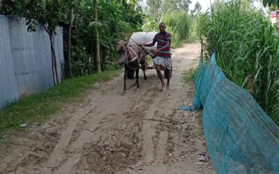 ロングプールのチャル地区では馬車が一般的