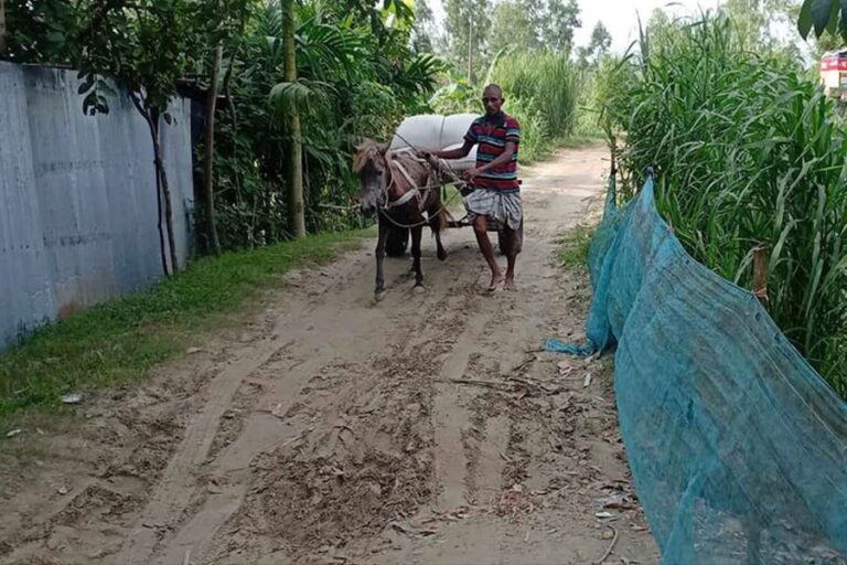 ロングプールのチャル地区では馬車が一般的