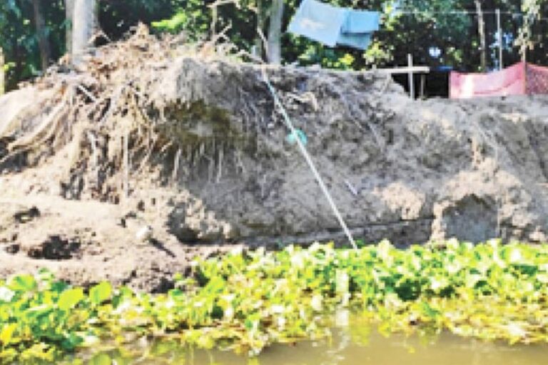 ダカティア川の川岸浸食が深刻な状況に