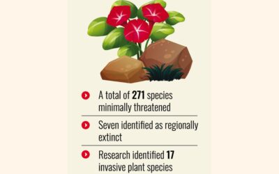 政府は絶滅危惧種1,000種を「植物のレッドリスト」に掲載