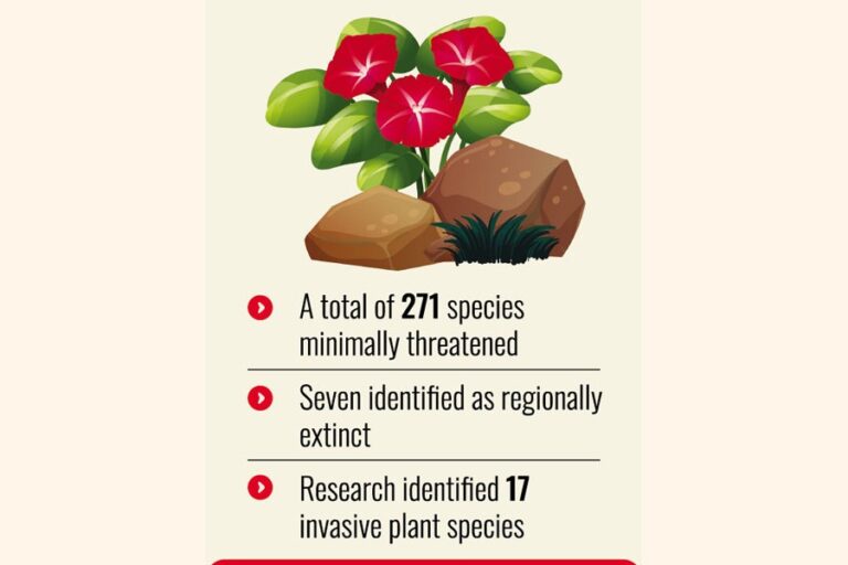 政府は絶滅危惧種1,000種を「植物のレッドリスト」に掲載