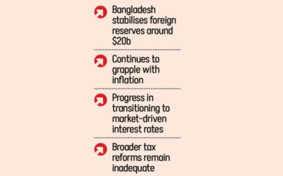 IMFの実験は成果を上げたか?