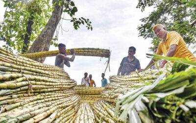 天候不順でインドの砂糖生産と輸出への期待が打ち砕かれる