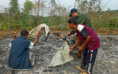 トリプラ州の住宅への放火事件で4人が逮捕される