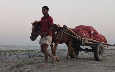 チャール経済の生命線である馬車