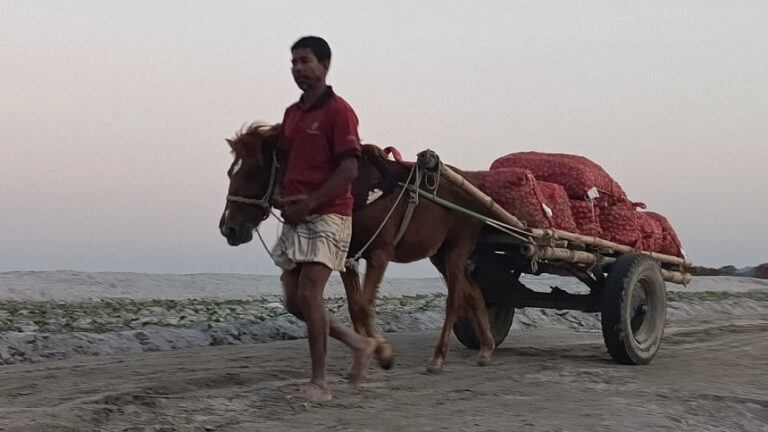 チャール経済の生命線である馬車