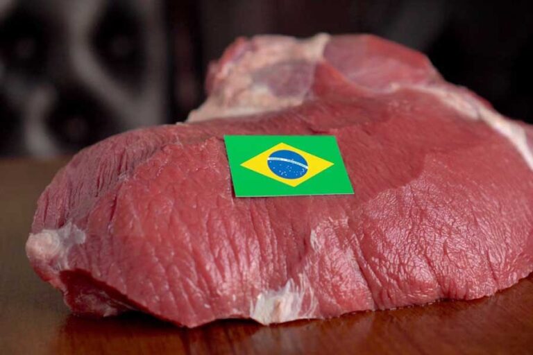 ブラジルの牛肉、トランプ関税の見通しに安堵