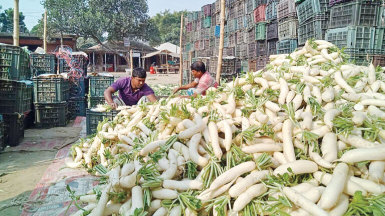 野菜価格の下落で農家は苦戦