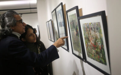 視覚的にビムルト：対比とつながりの展覧会