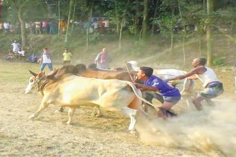 ポッシュ・パルボンは、かつての活気ある祭りを彷彿とさせる