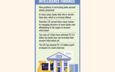 大物実業家による脱税に関する情報隠蔽で国庫から数十億ドルが失われる