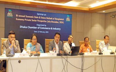 DCCIは民間セクターの信用フローを増やし、収益を生み出し、インフレを抑制するための措置を求める