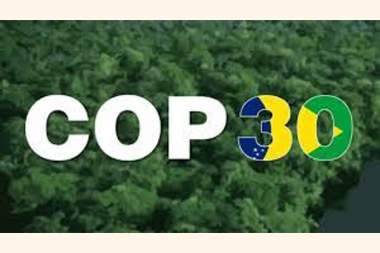 COP30議長、可能な限り最も野心的な排出目標を要請