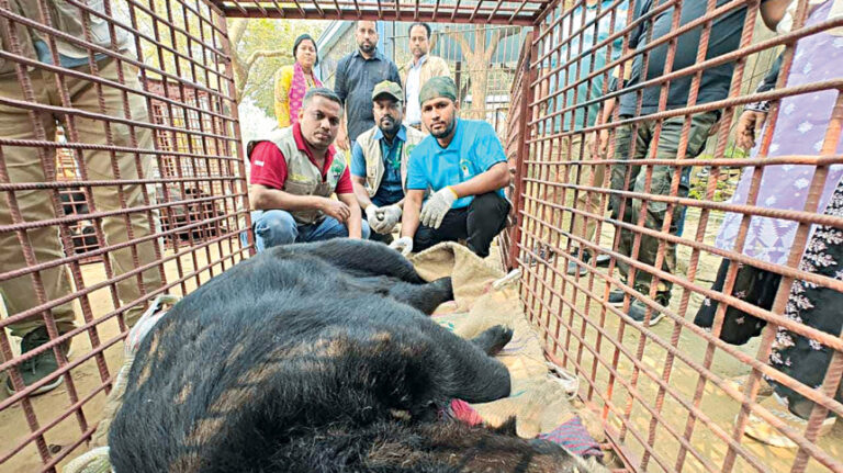 さらに48匹の動物が救出された