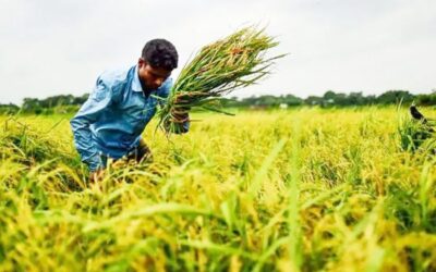 気候危機と食糧不安 – 開発途上国、WFP、FAOにとっての重要課題