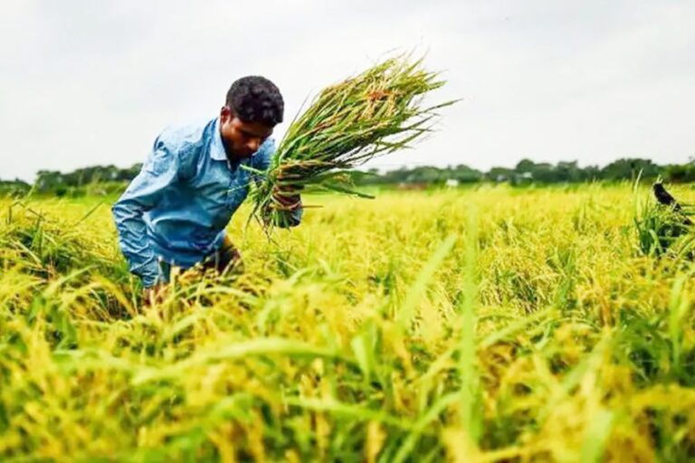 気候危機と食糧不安 – 開発途上国、WFP、FAOにとっての重要課題