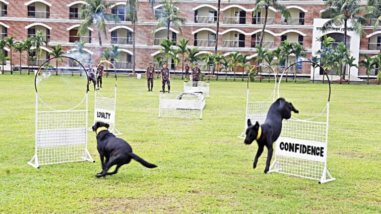 国境警備隊：BGB が独自の K-9 部隊を育成し、訓練する