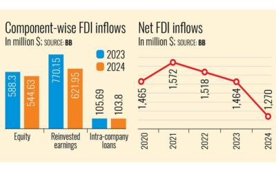 2024年のFDIは5年ぶりの低水準に落ち込んだ