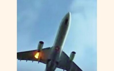 鳥との衝突によりトルコ航空の飛行機がダッカに緊急着陸