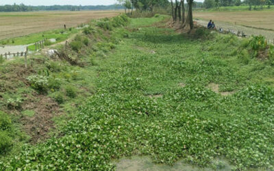 運河が堆積したまま、12の村が洪水の危険に直面