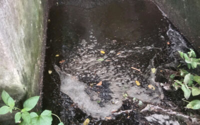 汚染、水門が轟雷を窒息させる