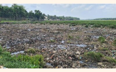 ロヒンギャの廃棄物がコックスバザールの耕作を危険にさらしている