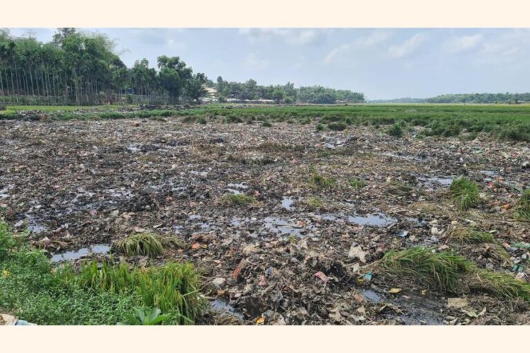 ロヒンギャの廃棄物がコックスバザールの耕作を危険にさらしている