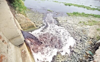未処理の排水と有毒廃棄物