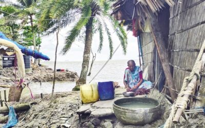 地方自治体の特定の予算項目は、国内および国際資金を動員できる