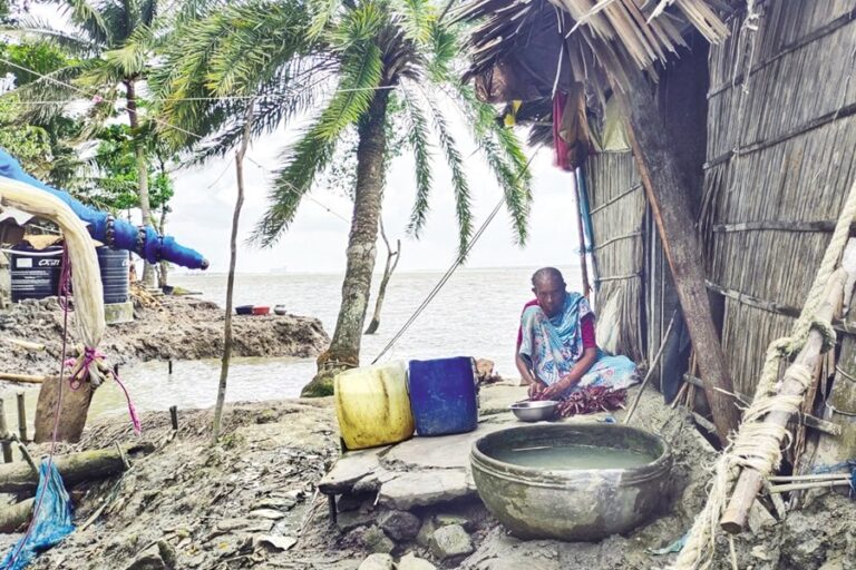 地方自治体の特定の予算項目は、国内および国際資金を動員できる