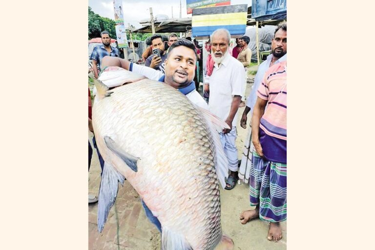 21,600キログラムのカトラ魚を眺める商人や見物人