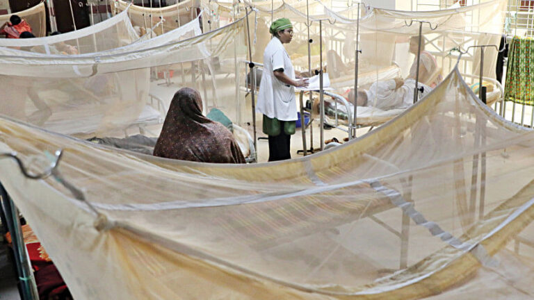 デング熱でさらに1人が死亡、383人が入院