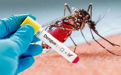 バングラデシュ、24時間でデング熱の症例が108件増加