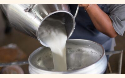 栄養失調を減らすには牛乳の生産と消費を促進することが重要