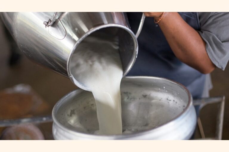 栄養失調を減らすには牛乳の生産と消費を促進することが重要