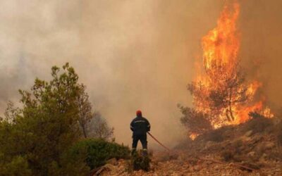 アテネ郊外で山火事が猛威を振るう