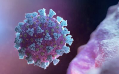 バングラデシュ、24時間で新たに28人の新型コロナ感染者を確認