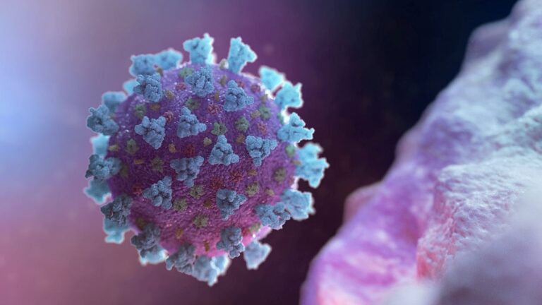 バングラデシュ、24時間で新たに28人の新型コロナ感染者を確認