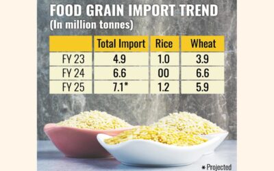 食糧穀物の輸入コストは今年度、量の伸びを上回る見込み