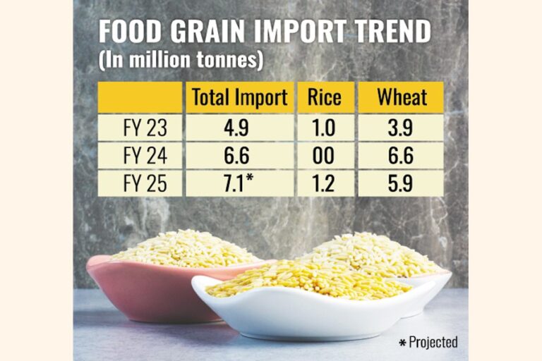 食糧穀物の輸入コストは今年度、量の伸びを上回る見込み