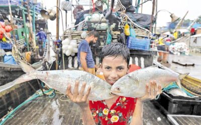 ヒルシャ魚の保全と持続可能な漁獲