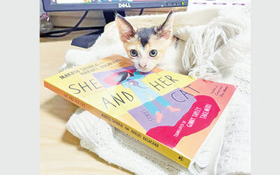 『彼女と彼女の猫』と静かな存在感