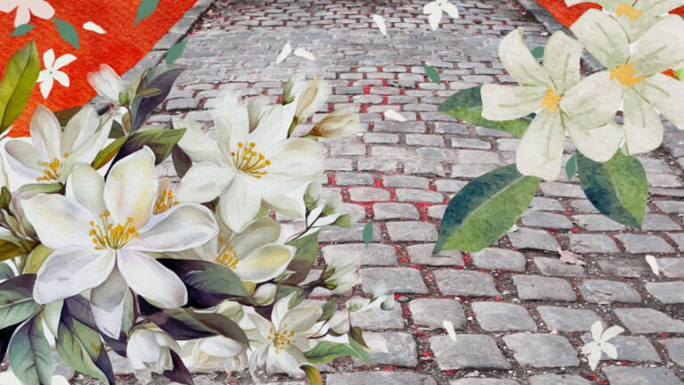 灰色の花
